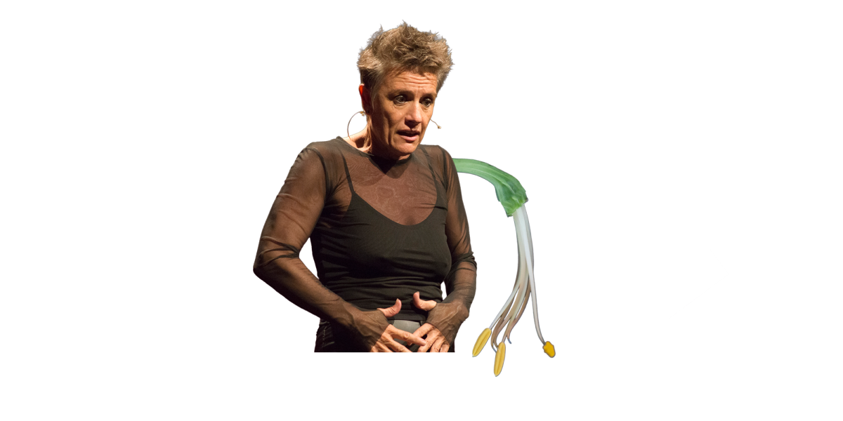 màquines flor.png